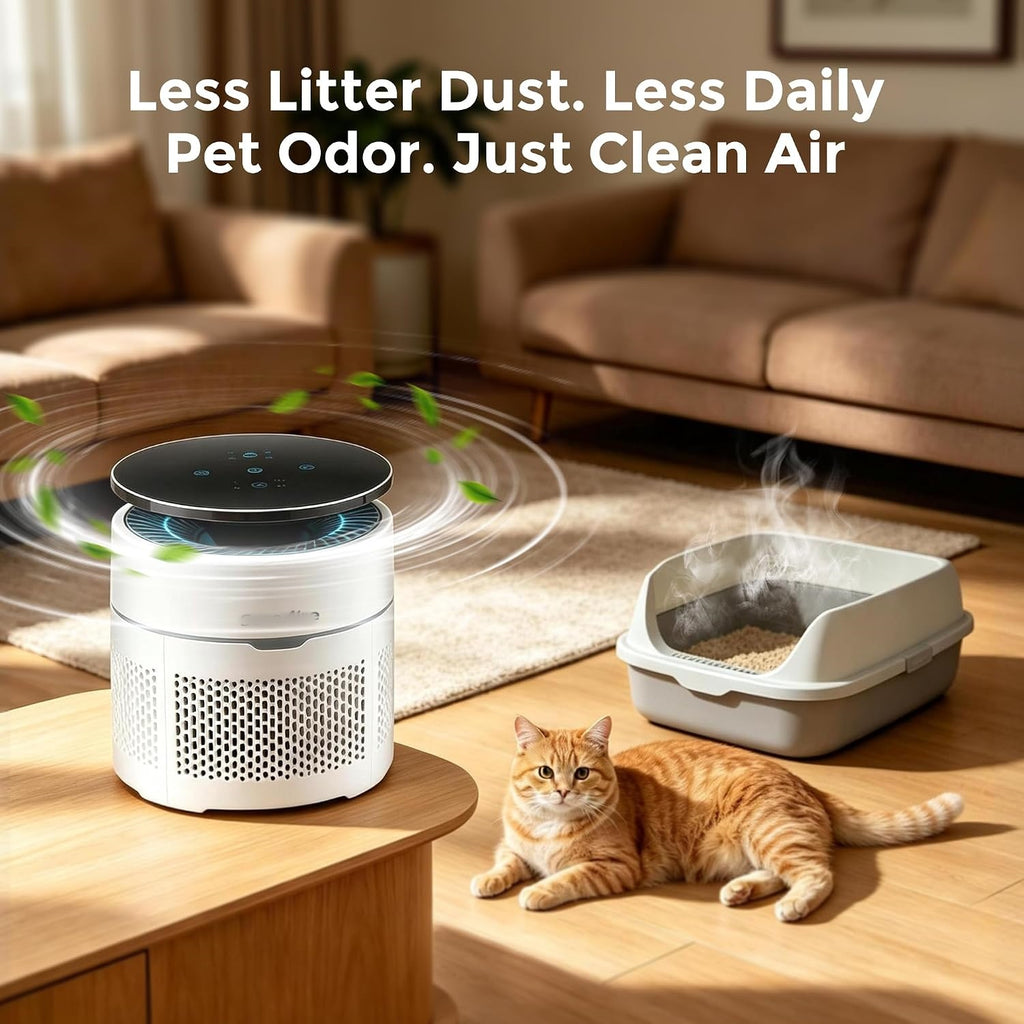 Small Desktop Air Purifier with HEPA Filter for Home and Office | Traps Pollen, Pet Dander & Smoke, Covers up to 250 Sq.Ft., Auto-off Timer, Quiet Sleep Mode, Filter Indicator, Compact