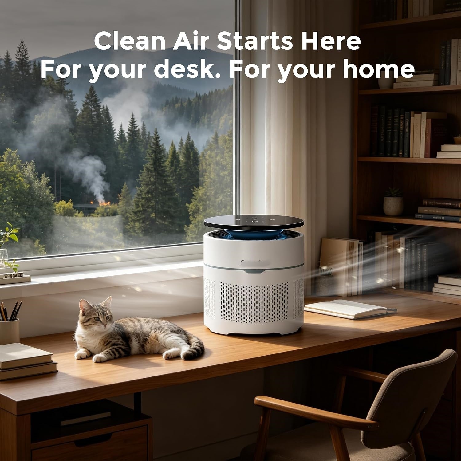 Small Desktop Air Purifier with HEPA Filter for Home and Office | Traps Pollen, Pet Dander & Smoke, Covers up to 250 Sq.Ft., Auto-off Timer, Quiet Sleep Mode, Filter Indicator, Compact