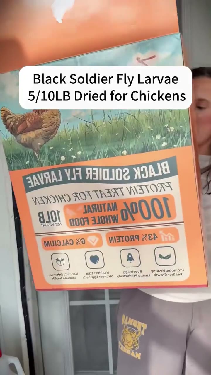 Dried Black Soldier Fly Larvae for Backyard Chickens detail 1